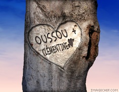 bilaye bark� cheikh